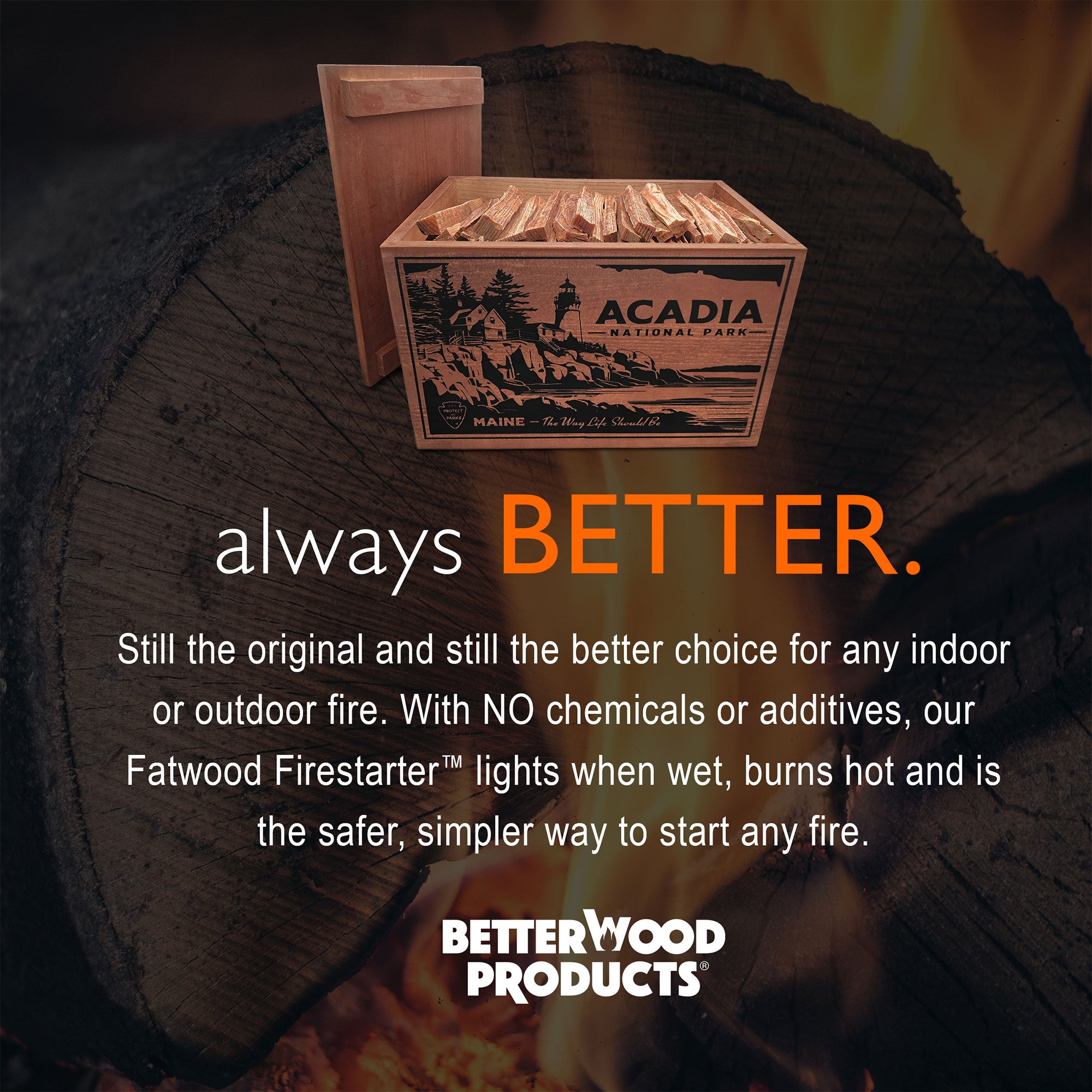 Better Wood Products Fatwood Firestarter Sticks, Acadia Box (Open Box) - VMInnovations