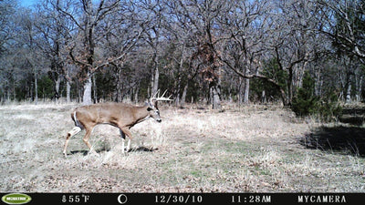 (4) MOULTRIE Reaction Cam 5MP HD Game Trail Hunting Video Cameras + (4) SD Cards