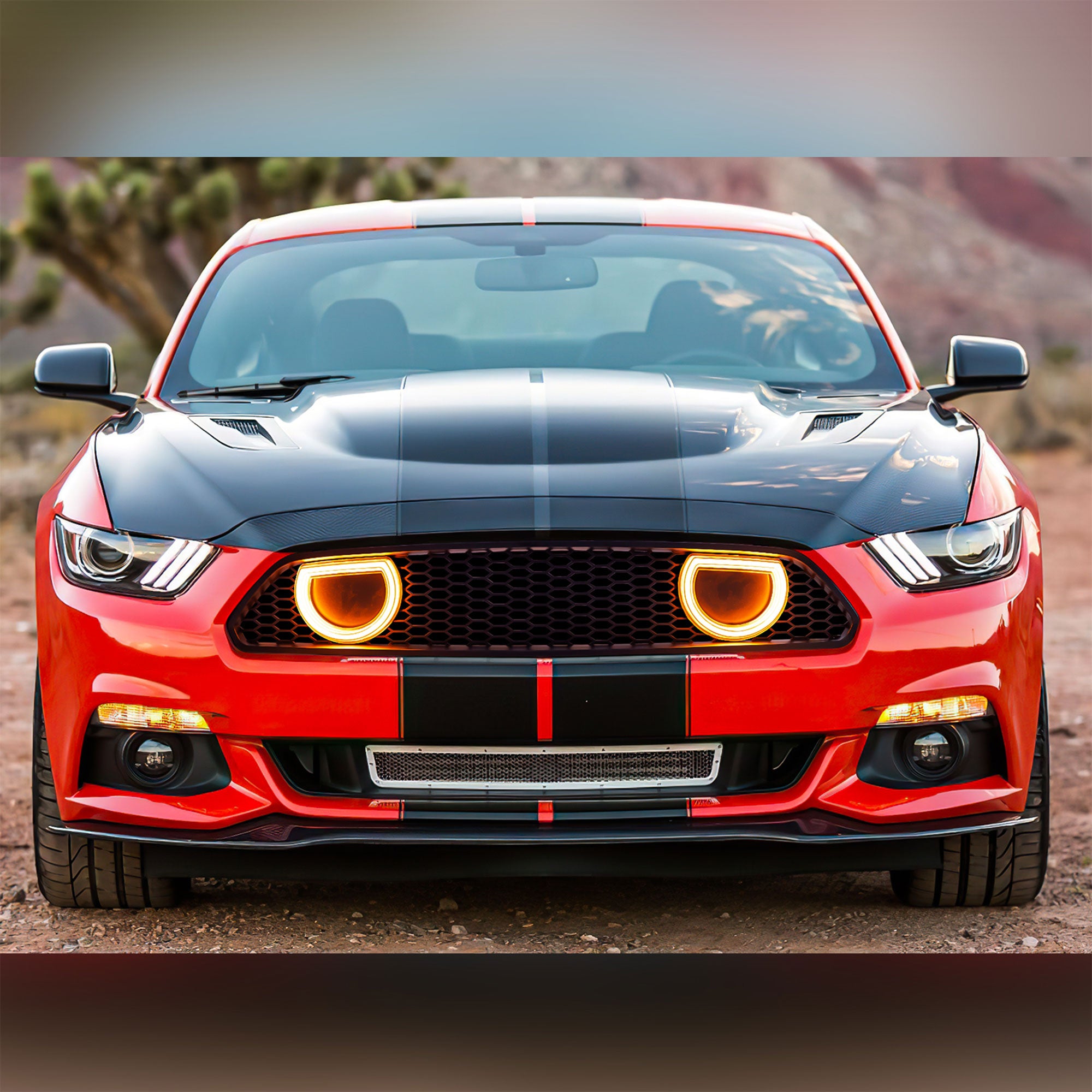 AMERICAN MODIFIED Grille for 15-17 Ford Mustang EcoBoost, GT, & V6, Matte Black - VMInnovations