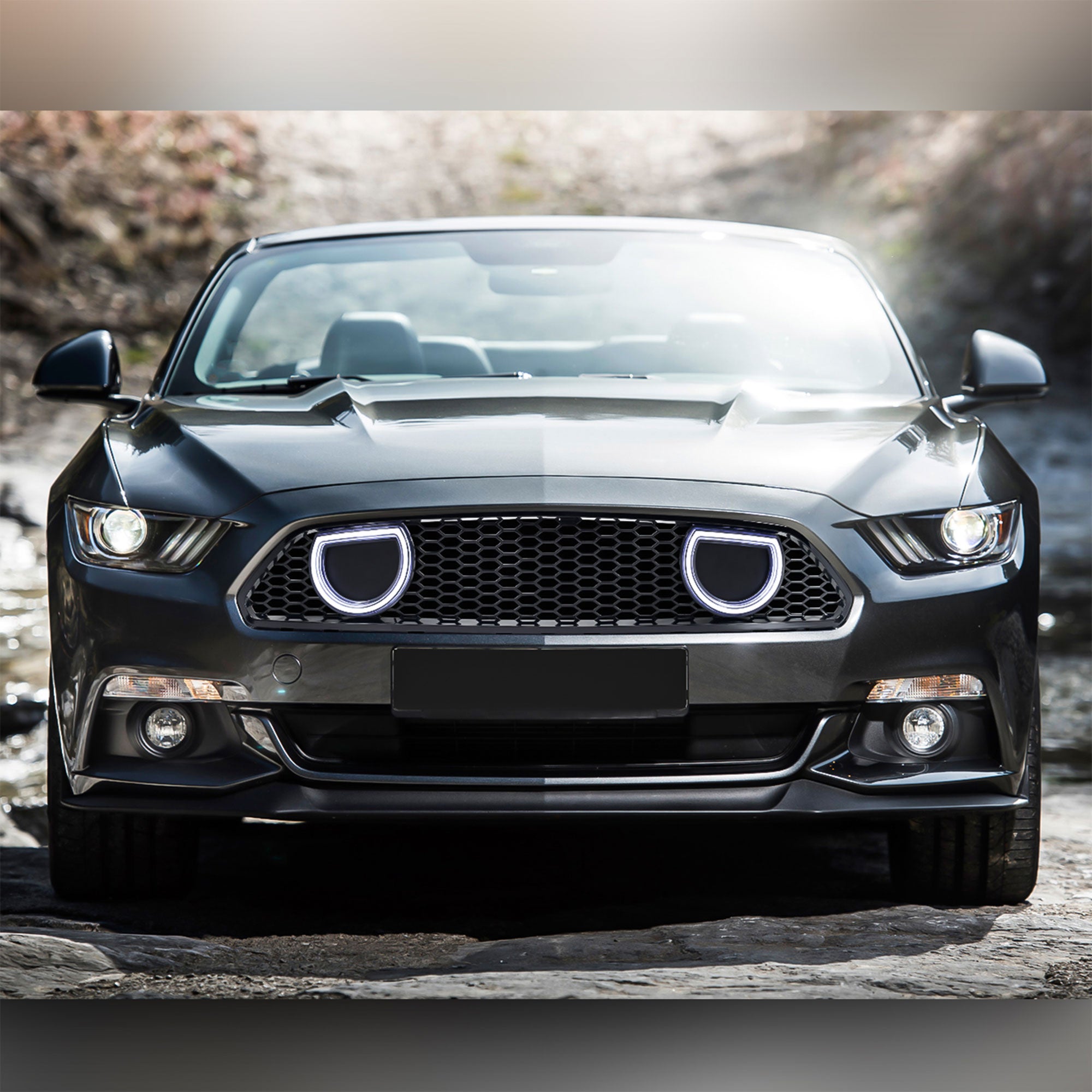 AMERICAN MODIFIED Grille for 15-17 Ford Mustang EcoBoost, GT, & V6, Glossy Black - VMInnovations