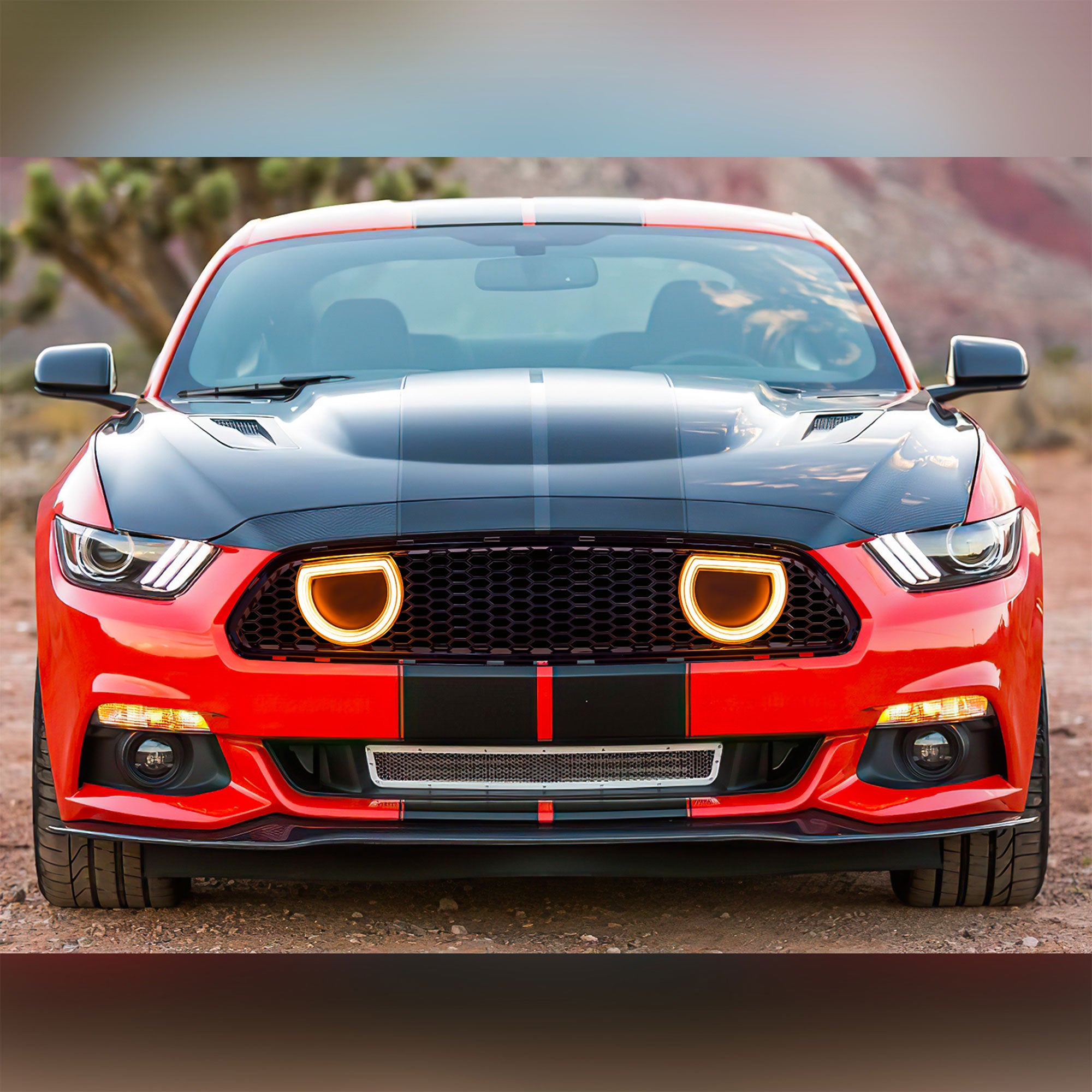 AMERICAN MODIFIED Grille for 15-17 Ford Mustang EcoBoost, GT, & V6, Glossy Black - VMInnovations