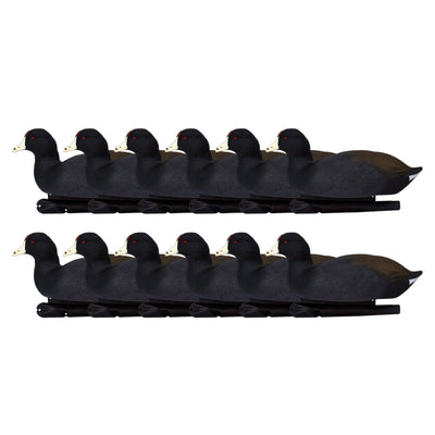 Avian X Top Flight Coot with Ultra Realistic Paint Scheme for Hunting,18 Pack