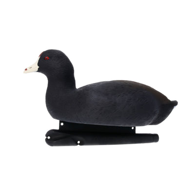 Avian X Top Flight Coot with Ultra Realistic Paint Scheme for Hunting,12 Pack