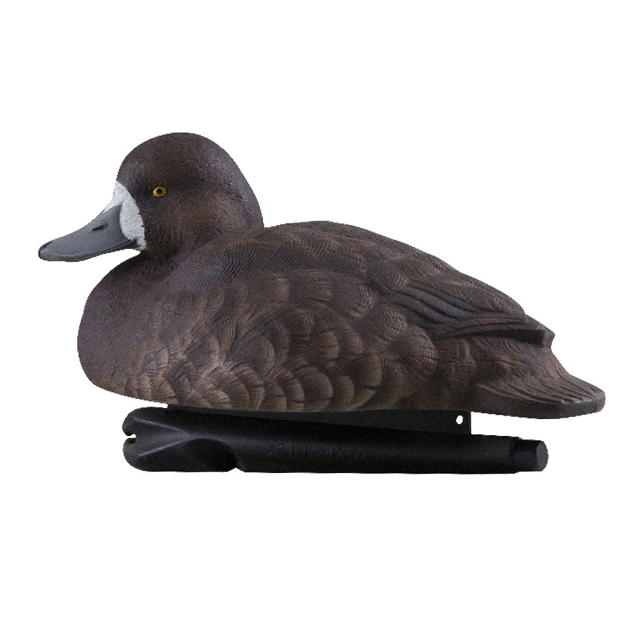 Avian X Topflight Blue Bills Duck Decoys with Weight Forward Swim Keel, 12 Pack