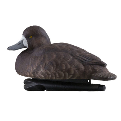Avian X Topflight Blue Bills Duck Decoys with Weight Forward Swim Keel, 12 Pack