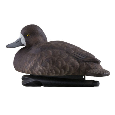 Avian X Topflight Blue Bills Duck Decoys Bundled with Redheads Realistic Decoys