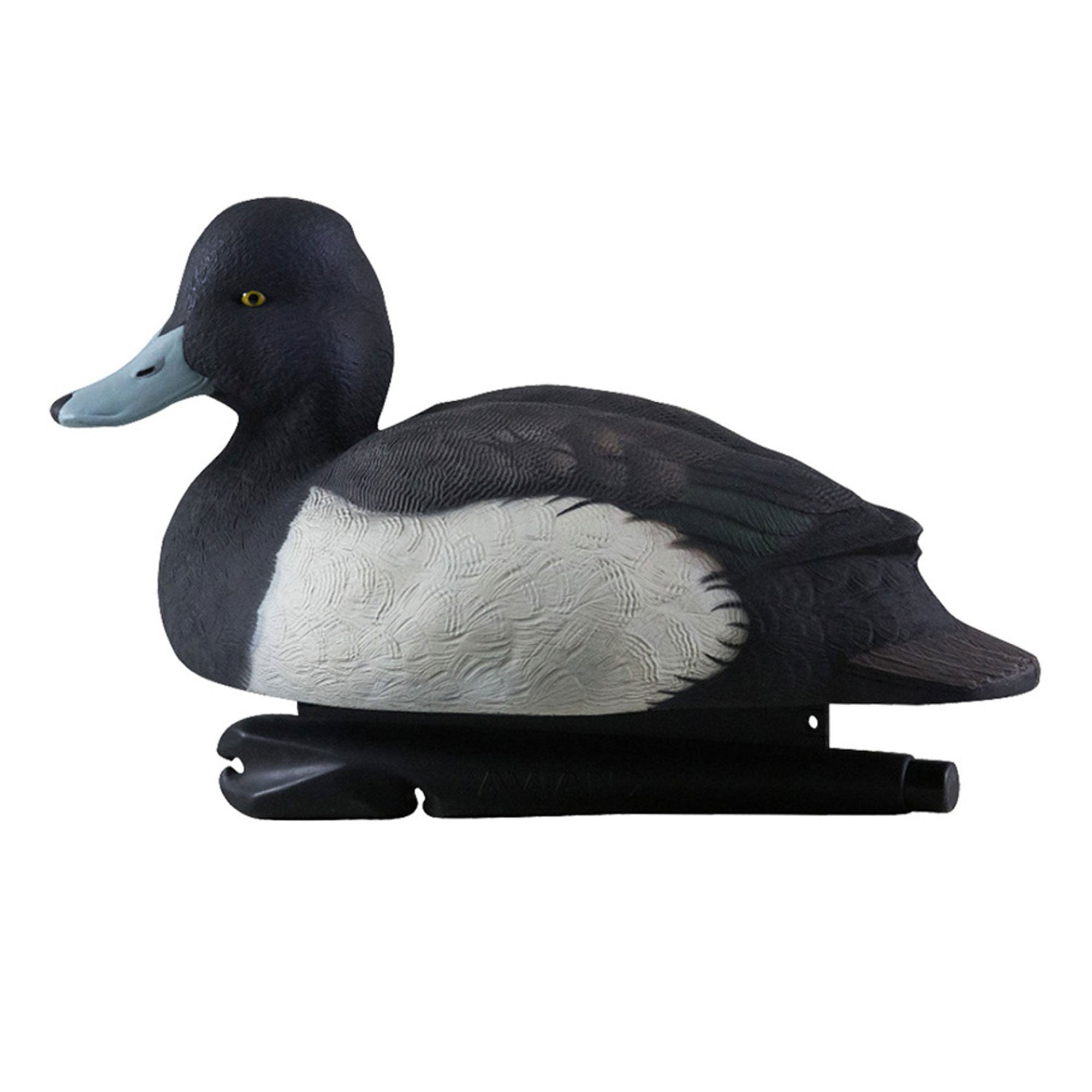 Avian X Topflight Blue Bills Duck Decoys Bundled with Redheads Realistic Decoys