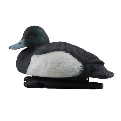 Avian X Topflight Blue Bills Duck Decoys Bundled with Redheads Realistic Decoys