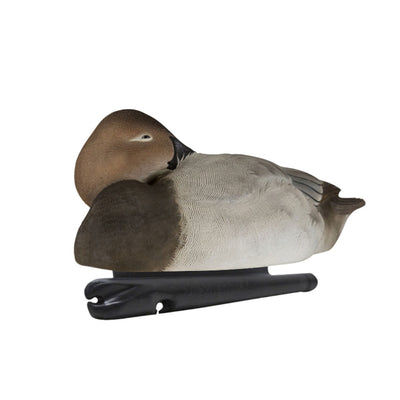 Avian X Topflight Blue Bills Duck Decoys Bundled with Canvasbacks Duck Decoys
