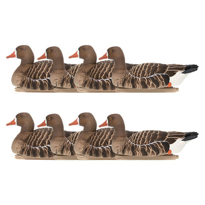Avian X Topflight Specklebelly Goose Decoys with True to Life Postures, 8 Pack