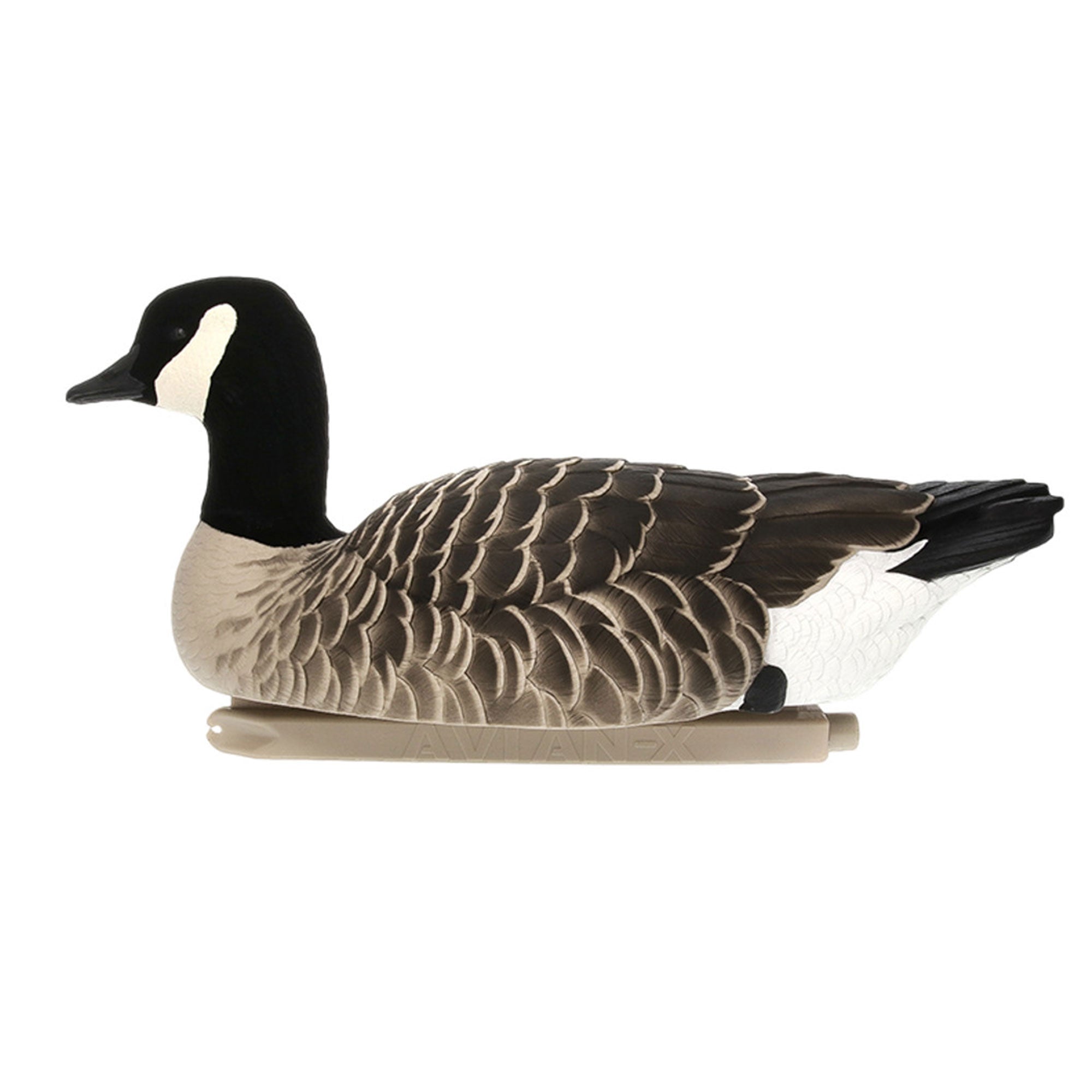 Avian X Topflight Lessers Floating Goose Decoys for Outdoor Hunting, 8 Pack