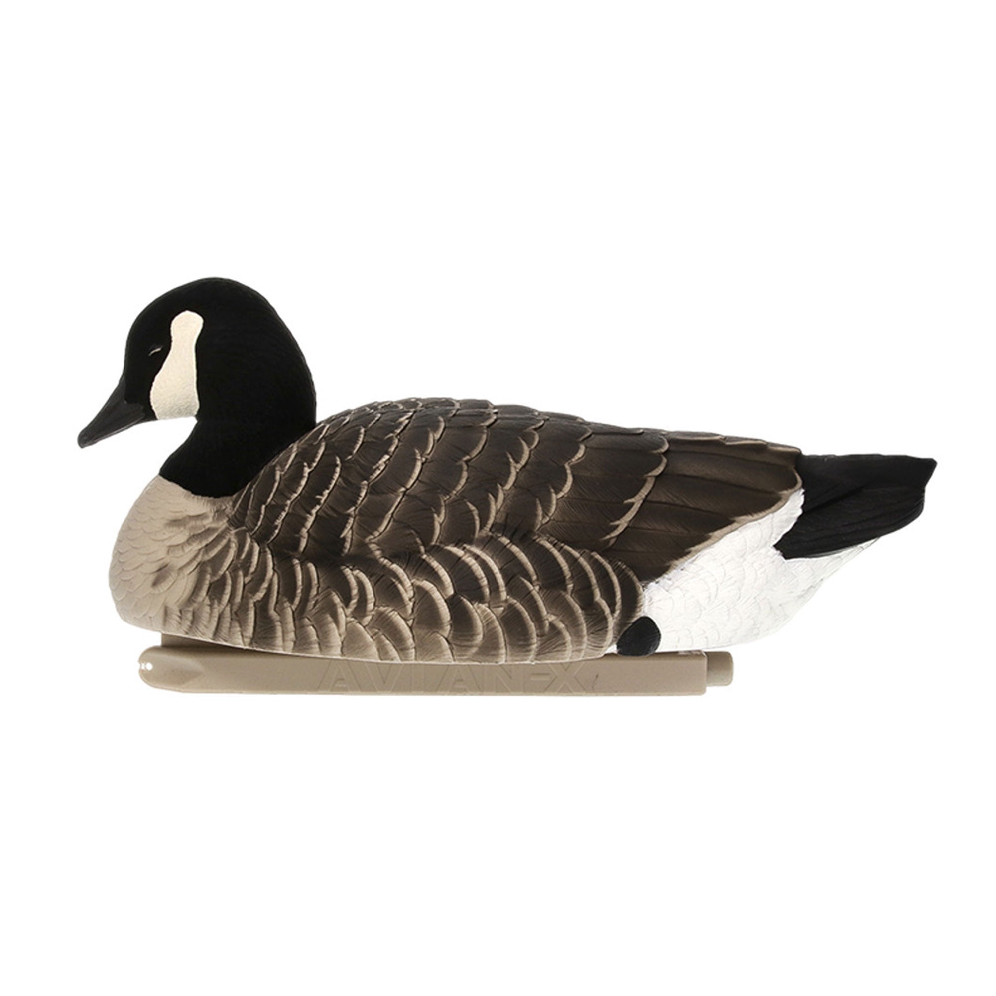 Avian X Topflight Lessers Floating Goose Decoys for Outdoor Hunting, 12 Pack