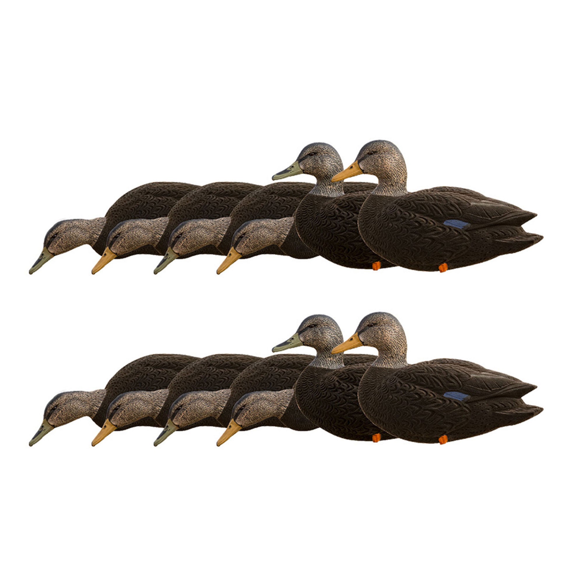 Avian X AXF Flocked Full Body Rugged Durable Black Ducks Fusion Pack, 12 Pack