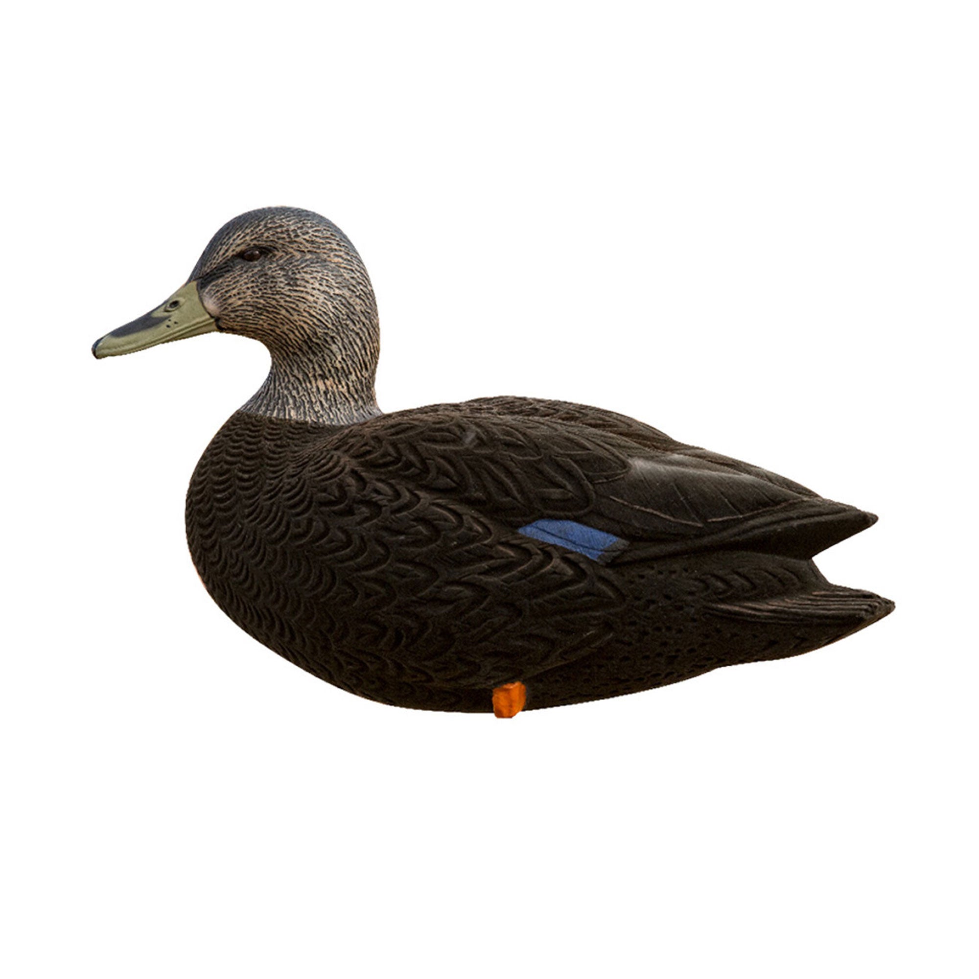 Avian X AXF Flocked Full Body Rugged Durable Black Ducks Fusion Pack, 12 Pack