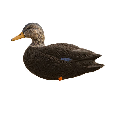 Avian X AXF Flocked Full Body Rugged Durable Black Ducks Fusion Pack, 12 Pack