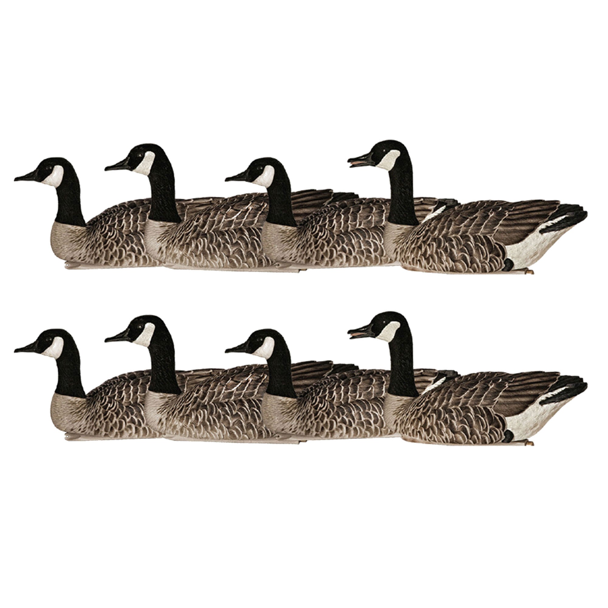 Avian X Topflight Honker Floaters with True to Life Postures for Hunting, 8 Pack