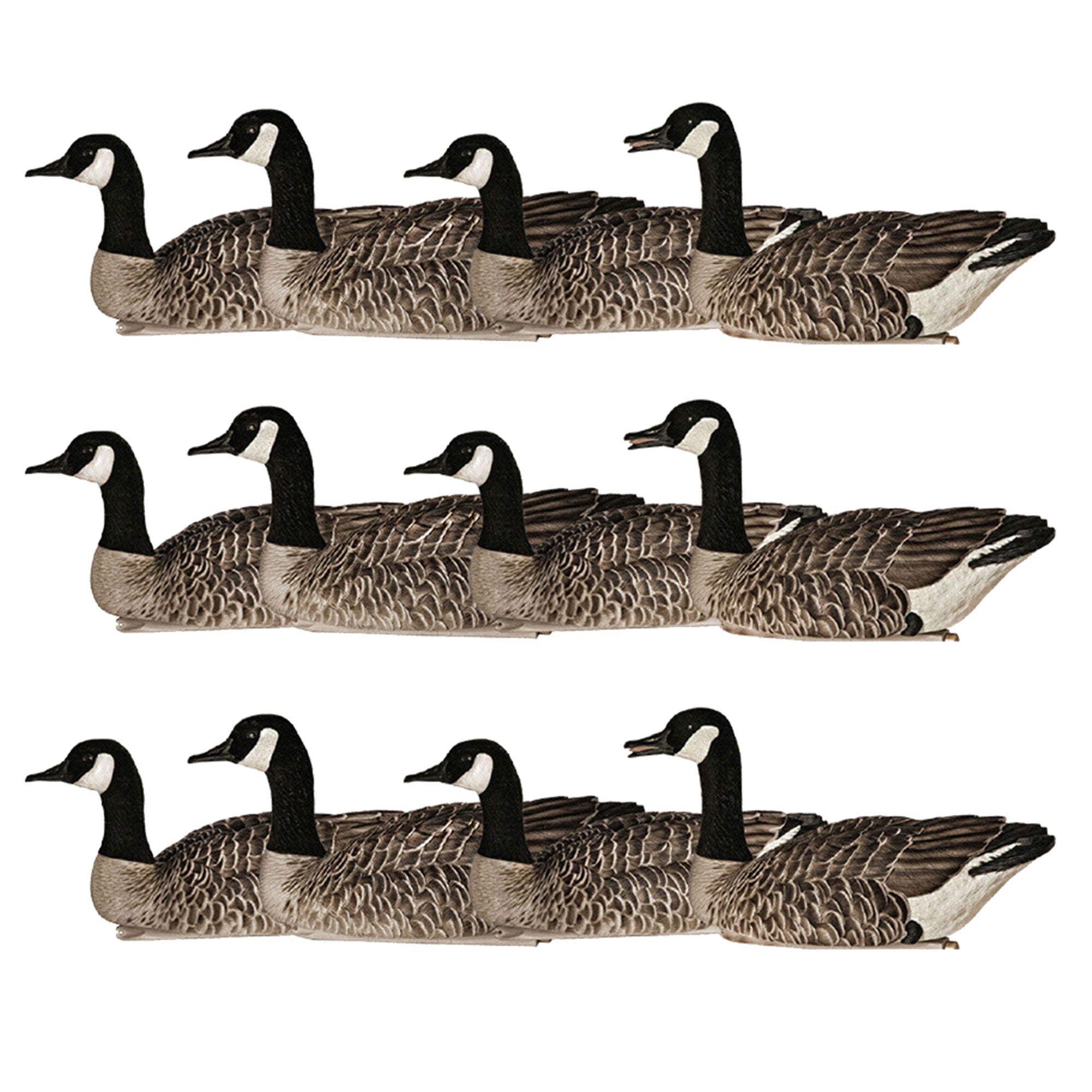 Avian X Topflight Honker Floaters w/ True to Life Postures for Hunting, 12 Pack