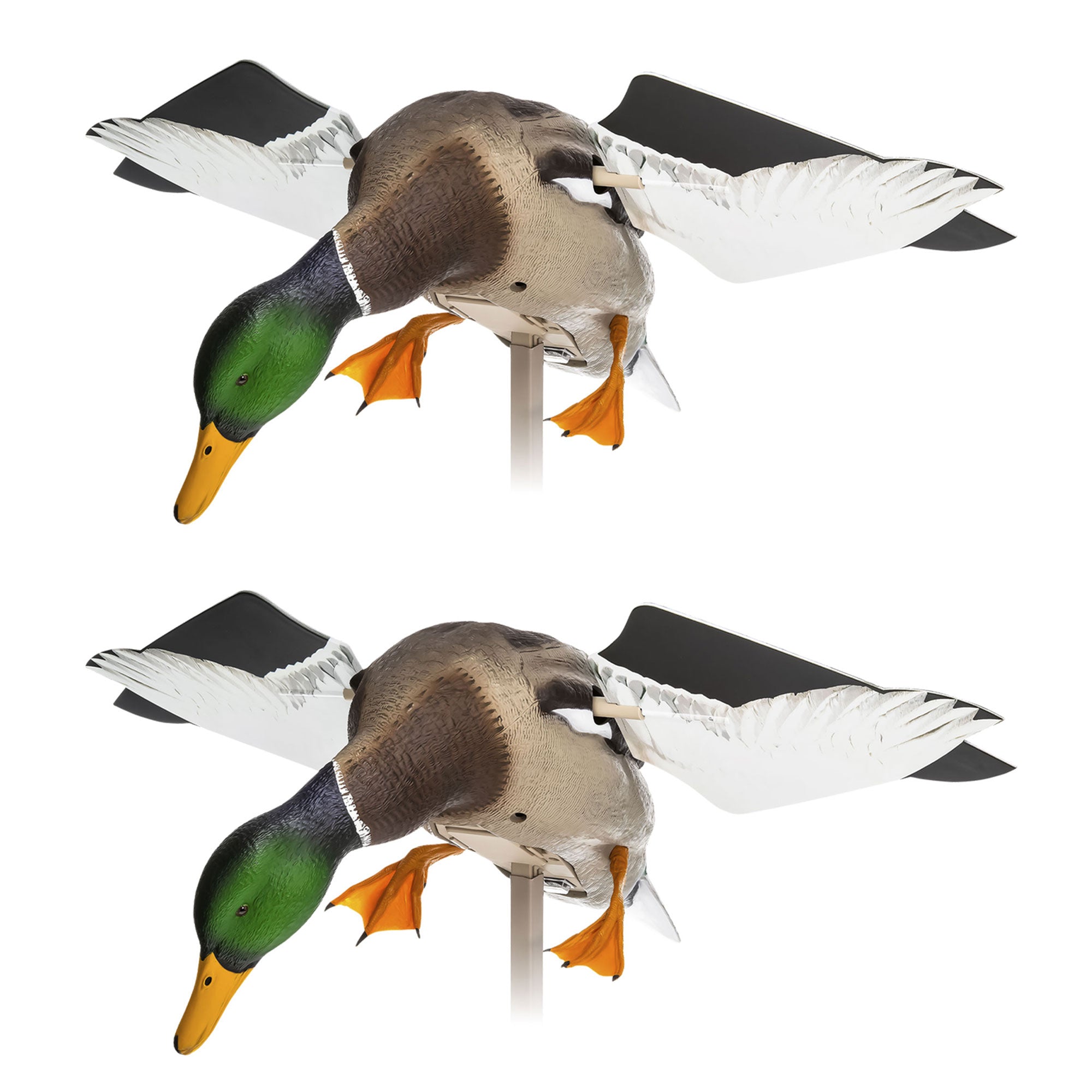 Avian X PowerFlight Smart Motion Mallard Spinning Weatherproof Decoy, 2 Pack