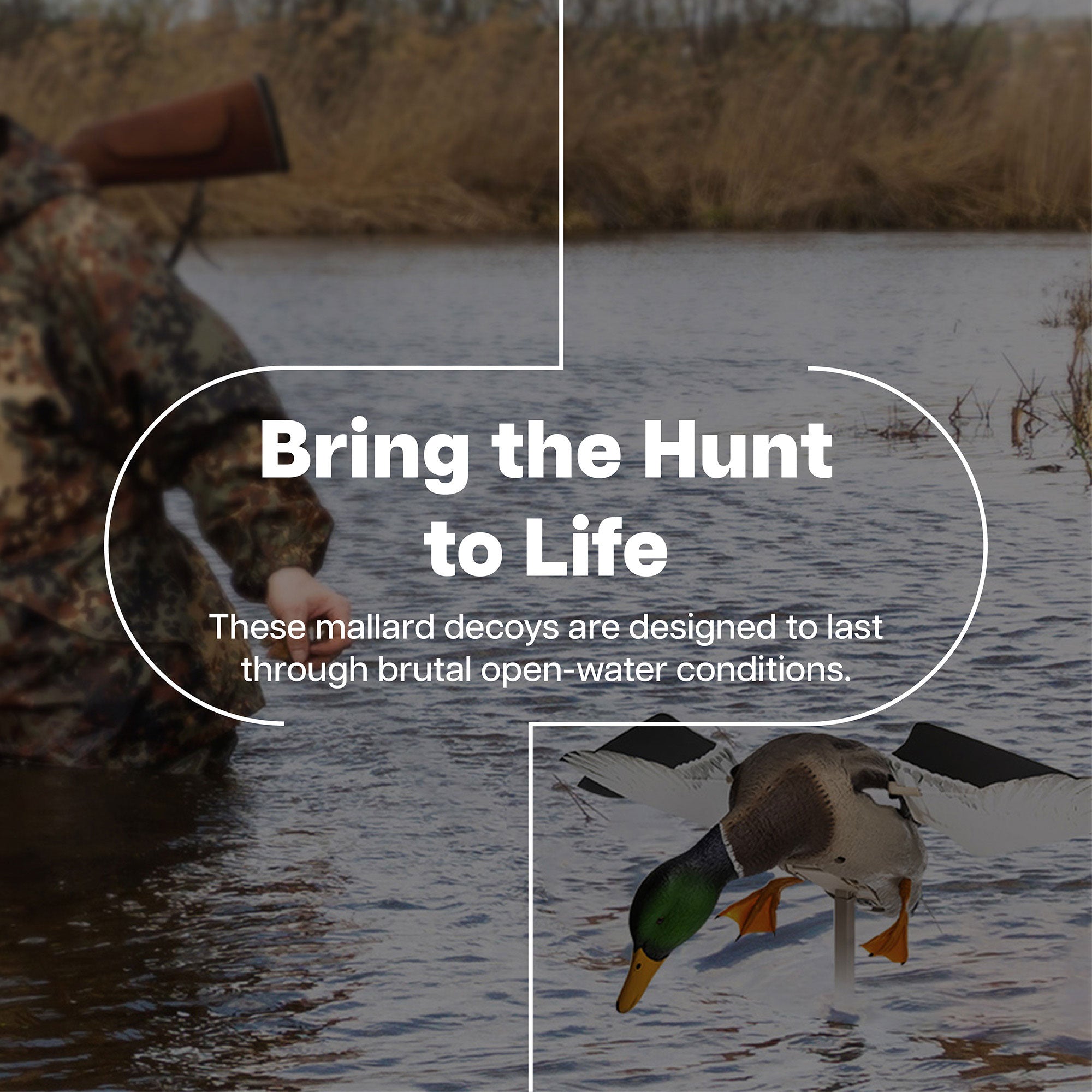 Avian X PowerFlight Smart Motion Mallard Spinning Weatherproof Decoy, 3 Pack