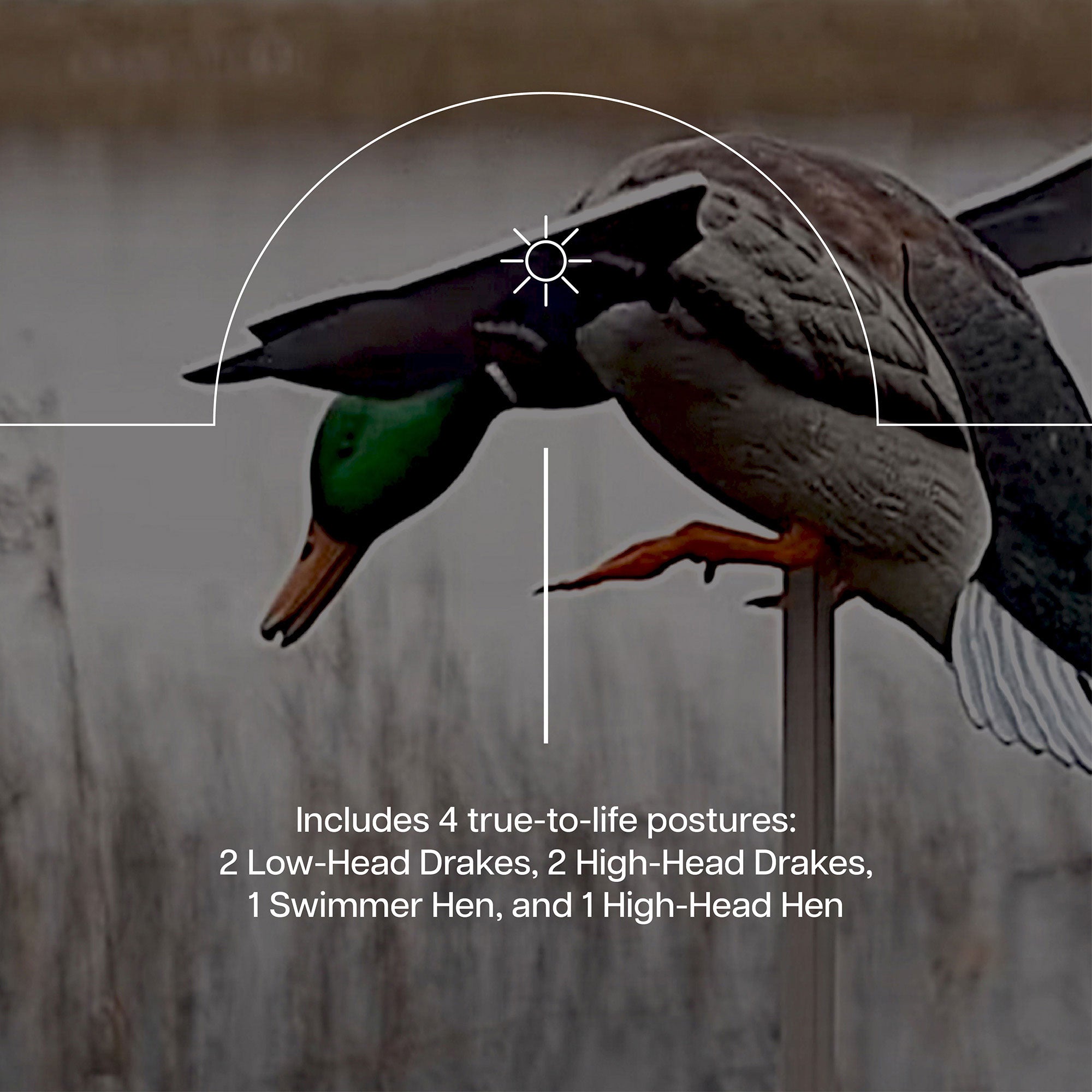 Avian X PowerFlight Smart Motion Mallard Spinning Weatherproof Decoy, 3 Pack
