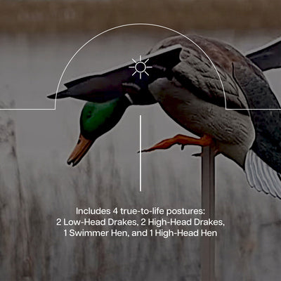 Avian X PowerFlight Smart Motion Mallard Spinning Weatherproof Decoy, 3 Pack