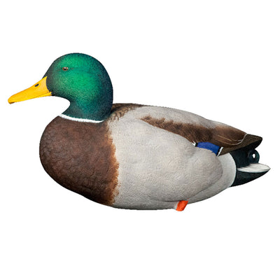 Avian X AXP Full Body Mallards Decoy, Ultra Realistic & Wind Activated, 12 Pack