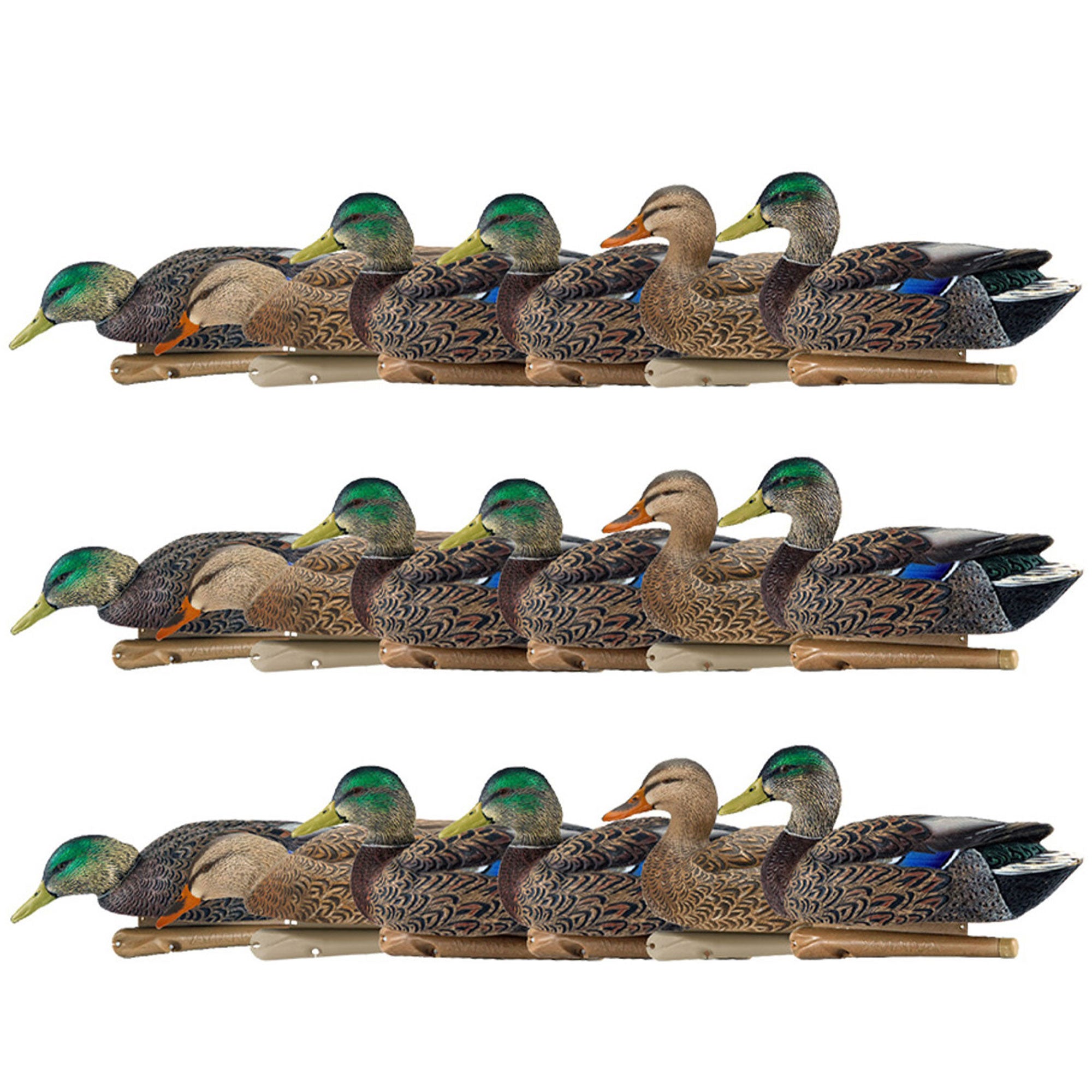 Avian X Topflight Early Season Mallard Duck Realistic Decoy, 18 Pack, Multicolor