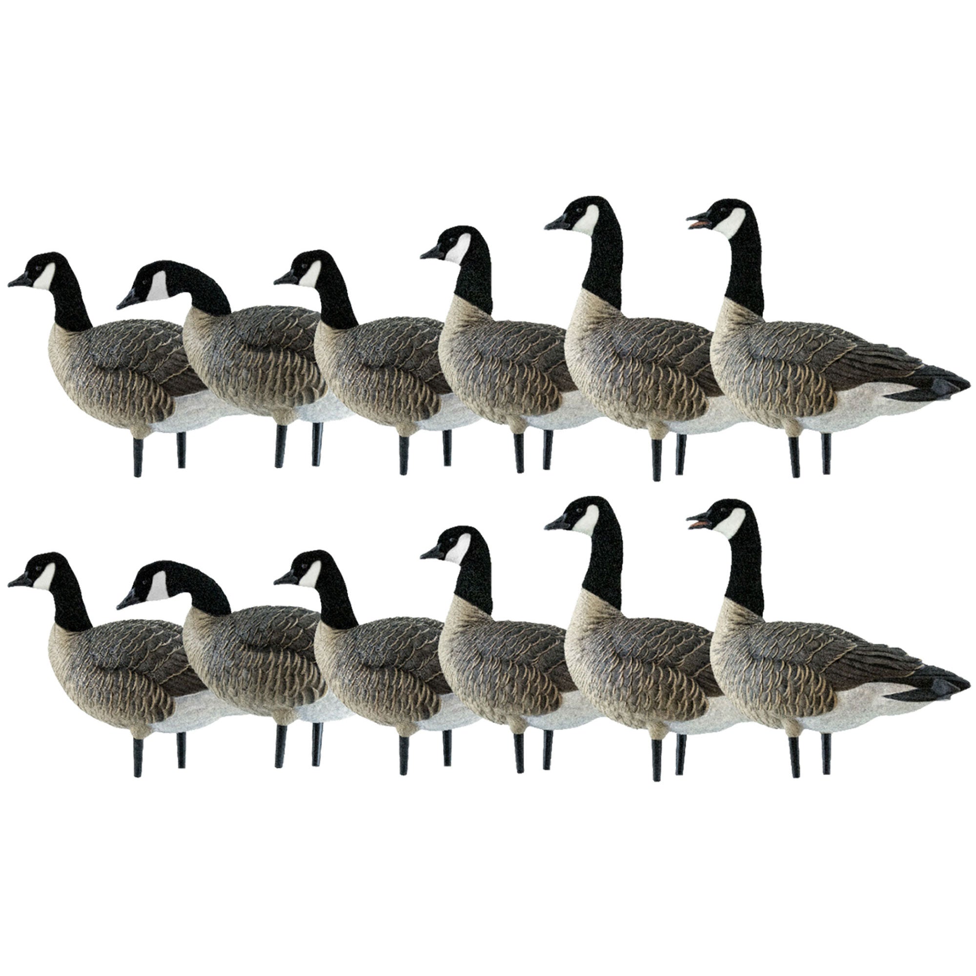 Avian X AXP Honkers Fusion Pack Lesser Canada Goose Decoys, 2 Pack, Multicolor