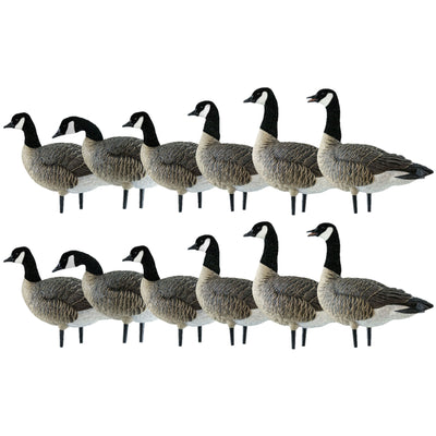 Avian X AXP Honkers Fusion Pack Lesser Canada Goose Decoys, 2 Pack, Multicolor