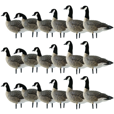 Avian X AXP Honkers Fusion Pack Lesser Canada Goose Decoys, 3 Pack, Multicolor