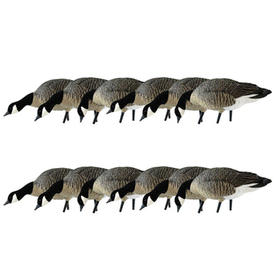 Avian X AXP Honkers Fusion Canada Goose Decoy Realistic Feeder Bodies, Set of 12