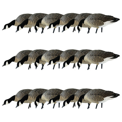Avian X AXP Honkers Fusion Canada Goose Decoy Realistic Feeder Bodies, Set of 18