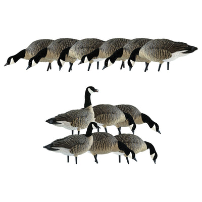 Avian X AXP Honkers Fusion Pack Decoys Bundled with Lessers 6 Piece Fusion Pack