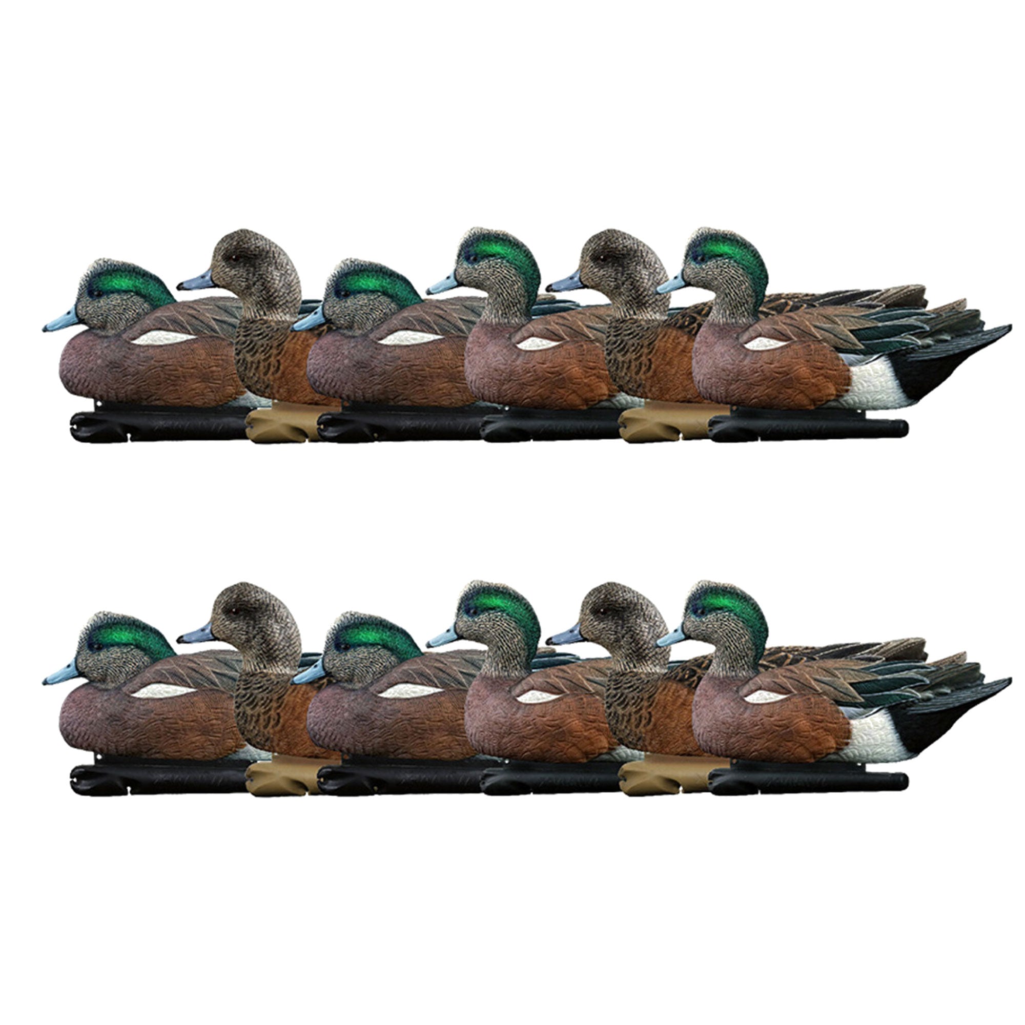 Avian X Topflight Wigeons, Rugged Realistic Floating Decoys, 12 Pack, Multicolor
