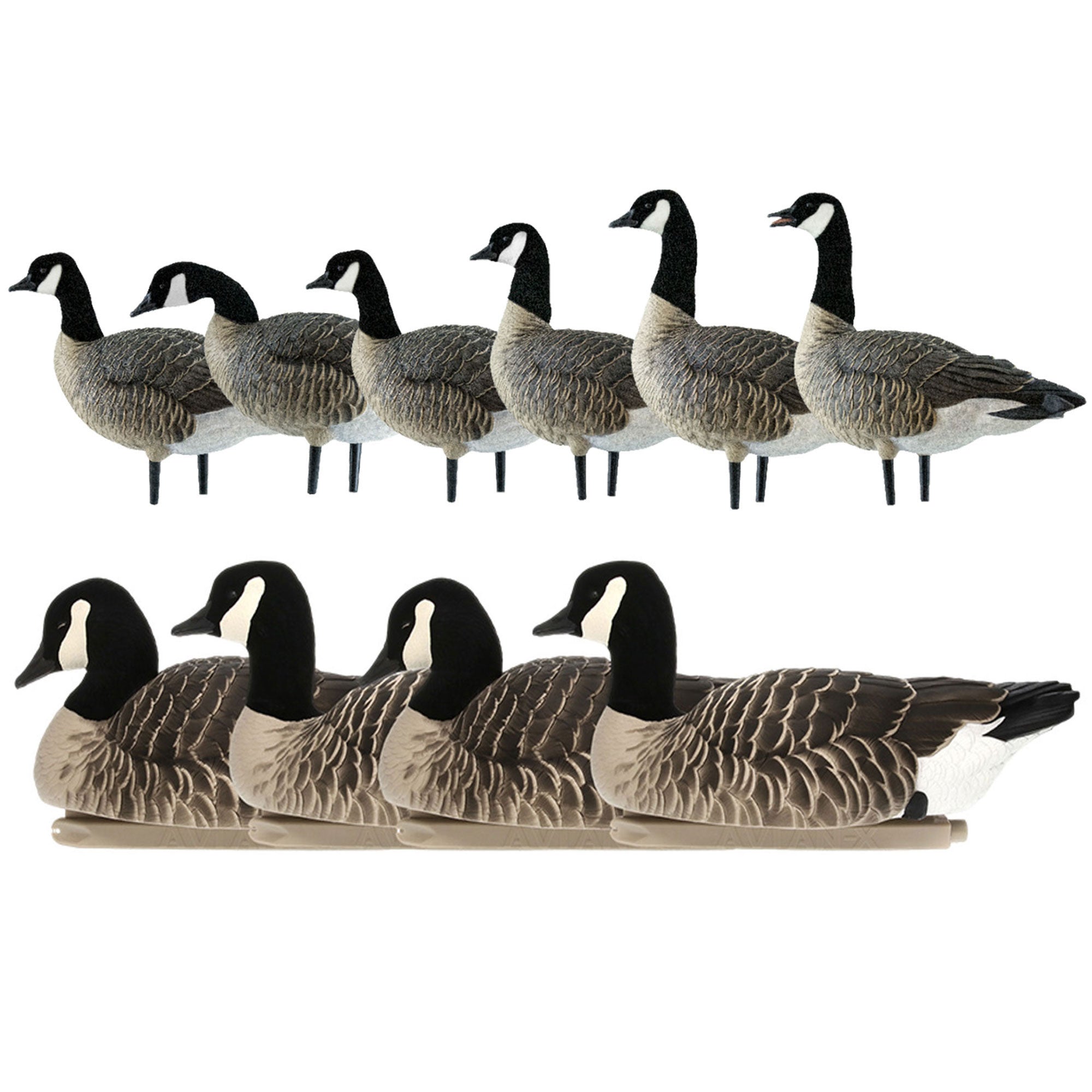 Avian X AXP Honkers Fusion Pack Lesser & Topflight Lessers Floating Goose Decoys