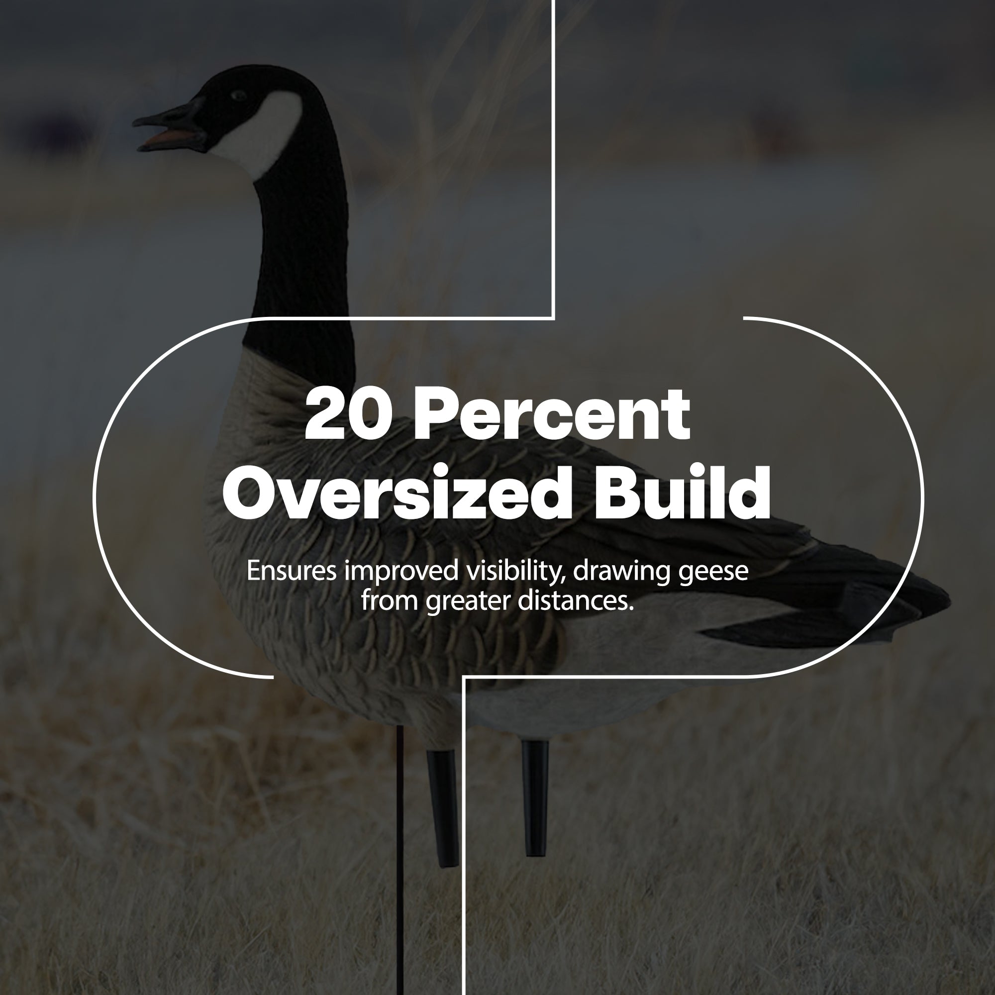 Avian X AXP Honkers Fusion Pack Lesser & Topflight Lessers Floating Goose Decoys