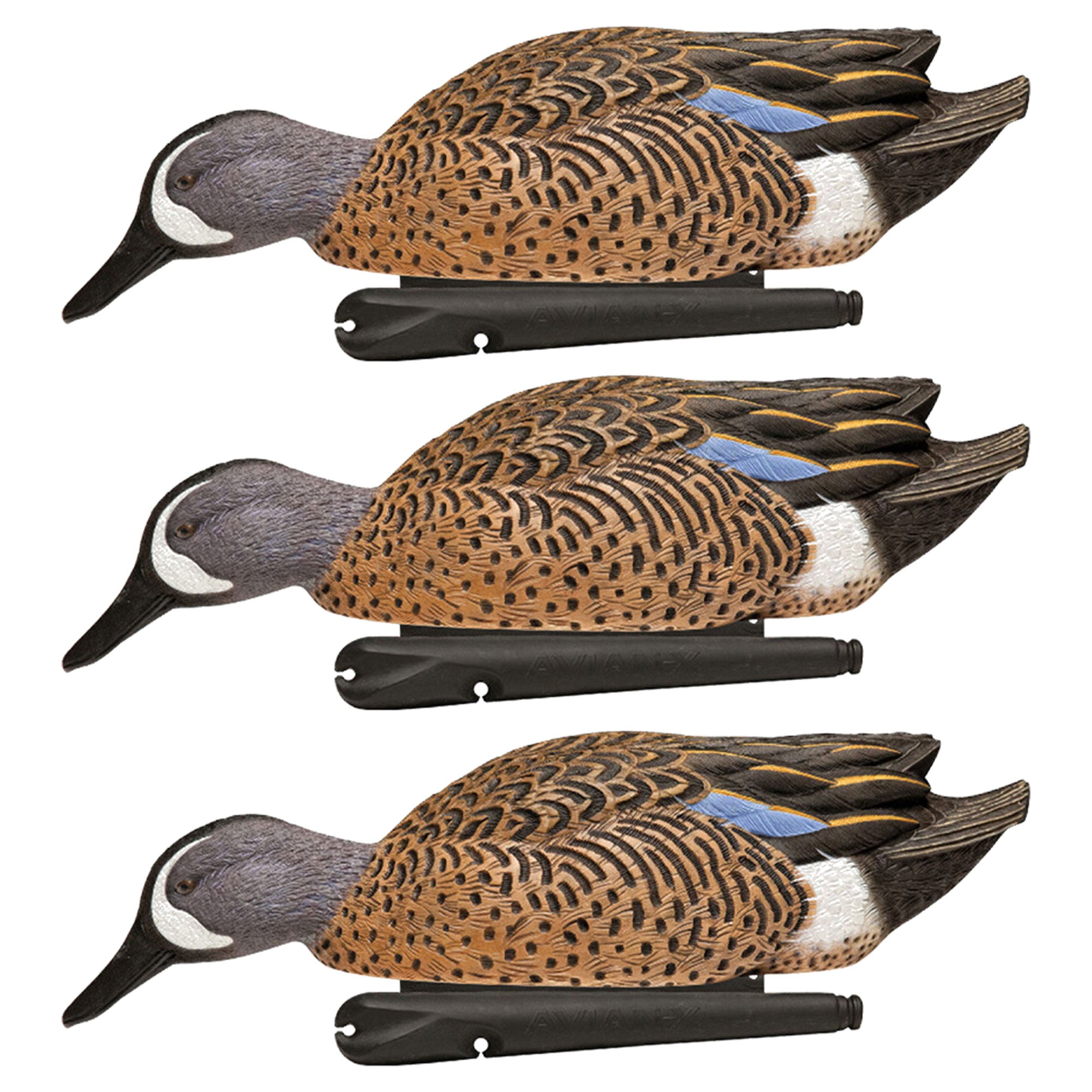 Avian X Topflight Blue-Winged Teal Duck, Realistic Floating Duck Decoy, Set of 3