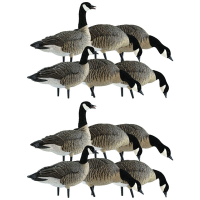 Avian X Lessers 6 Piece Fusion Realistic Goose Outdoor Hunting Decoy, 2 Pack