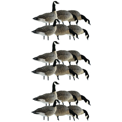 Avian X Lessers 6 Piece Fusion Realistic Goose Outdoor Hunting Decoy, 3 Pack