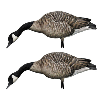 Avian X AXP Honkers Full Body Realistic Paint Canada Goose Decoys Pack, 2 Pack