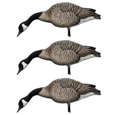 Avian X AXP Honkers Full Body Realistic Paint Canada Goose Decoys Pack, 3 Pack