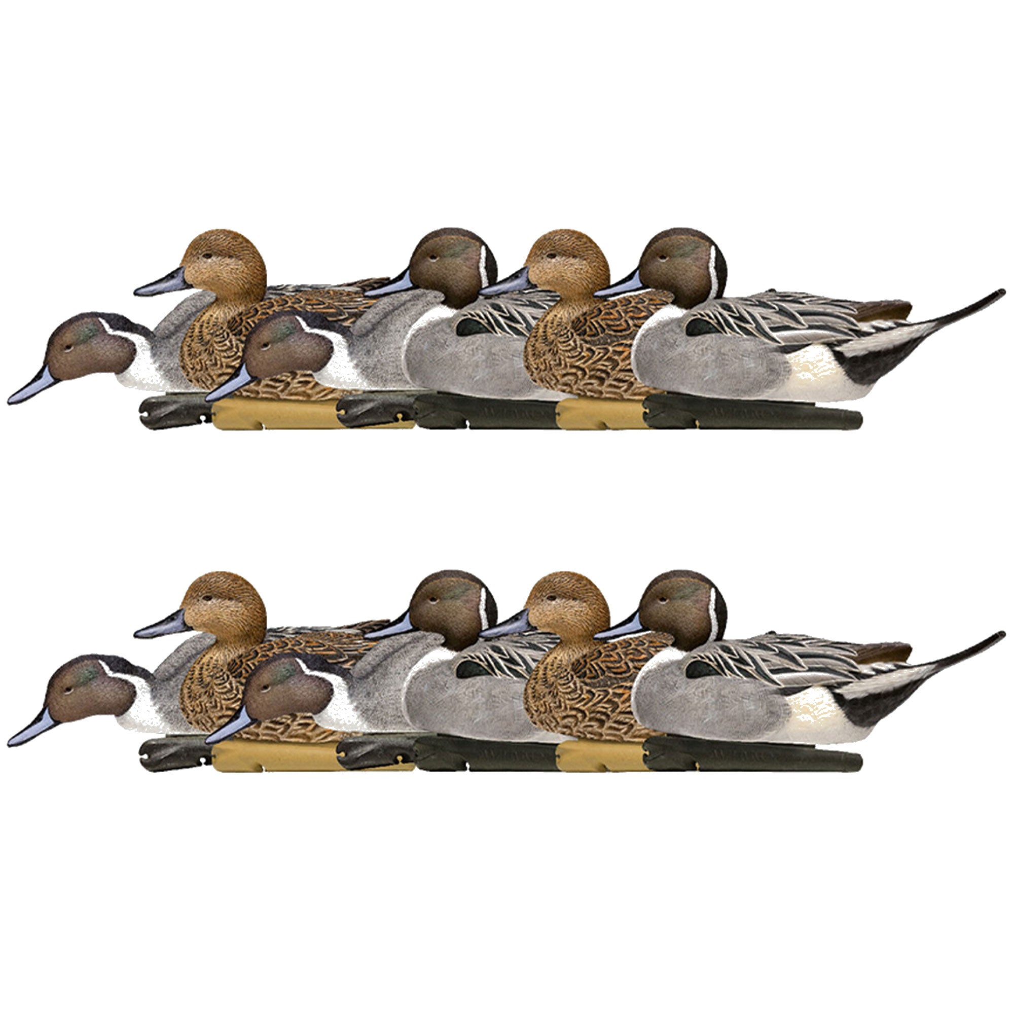 Avian X Topflight Pintails, Realistic Floating Decoys, Set of 12, Multicolor