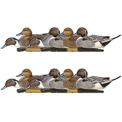 Avian X Topflight Pintails, Realistic Floating Decoys, Set of 12, Multicolor