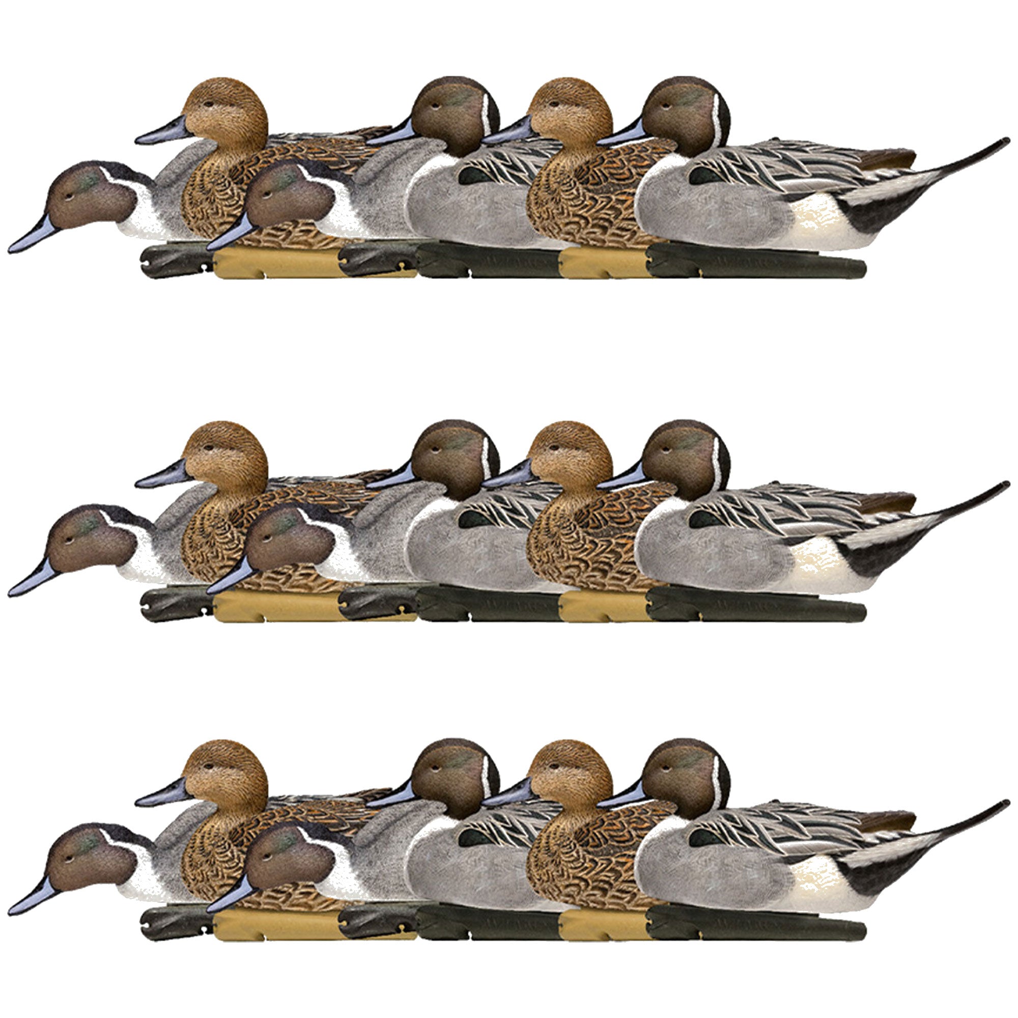 Avian X Topflight Pintails, Realistic Floating Decoys, Set of 18, Multicolor