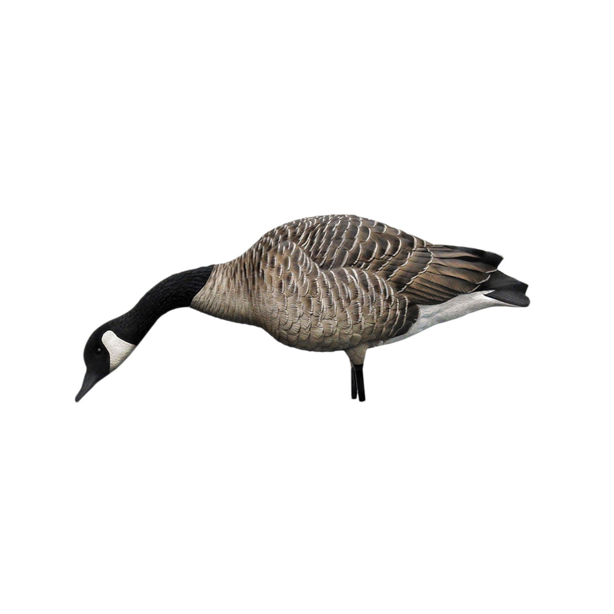 Avian X AXP Honkers Full Body Realistic Paint Canada Goose Decoys, Set of 18 - VMInnovations