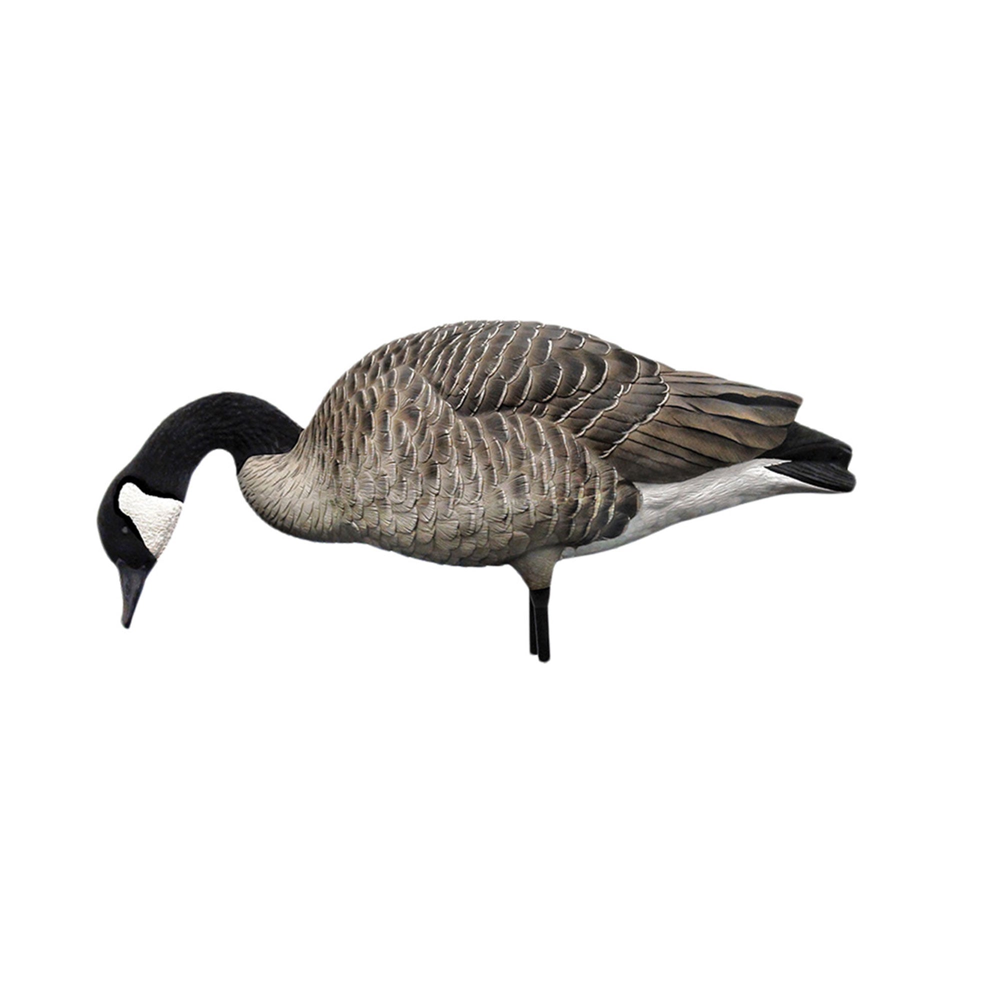 Avian X AXP Honkers Full Body Realistic Paint Canada Goose Decoys, Set of 18 - VMInnovations