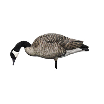 Avian X AXP Honkers Full Body Realistic Paint Canada Goose Decoys, Set of 18 - VMInnovations
