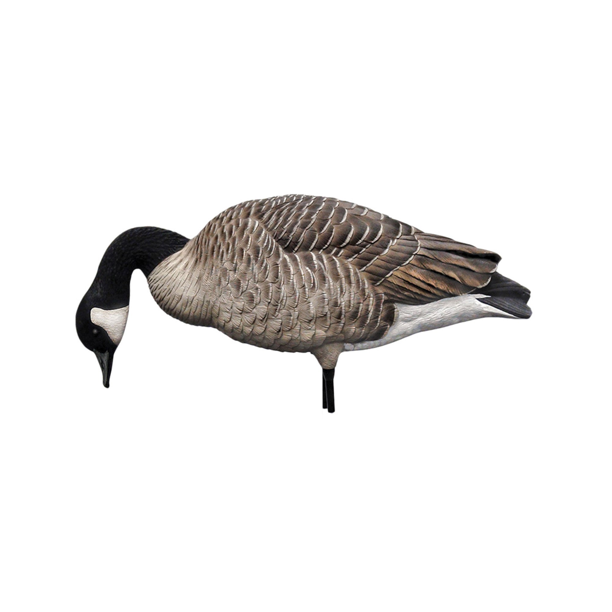 Avian X AXP Honkers Full Body Realistic Paint Canada Goose Decoys, Set of 18 - VMInnovations