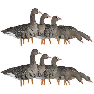 Avian X AXP Specklebelly Decoy Fusion Pack with Lasting Finish and Bag, 12 Pack