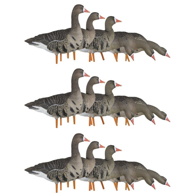 Avian X AXP Specklebelly Decoy Fusion Pack with Lasting Finish and Bag, 18 Pack